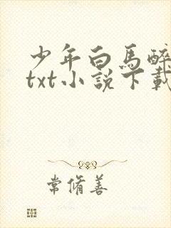 少年白马醉春风txt小说下载封面