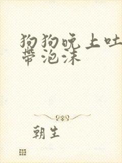 狗狗晚上吐黄水带泡沫