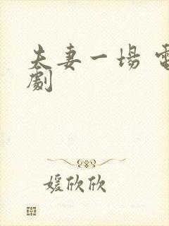 夫妻一场 电视剧