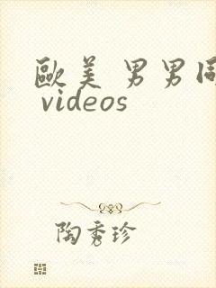 欧美 男男同性 videos