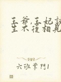 王爷,王妃说此生不复相见小说封面