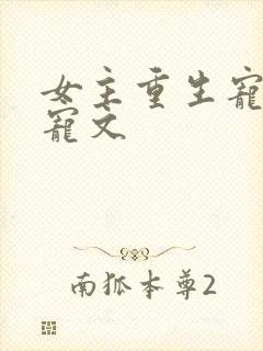 女主重生宠夫甜宠文