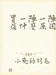 胃一阵一阵的绞痛什么原因