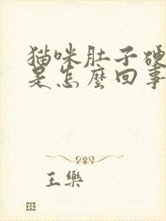 猫咪肚子硬硬的是怎么回事封面