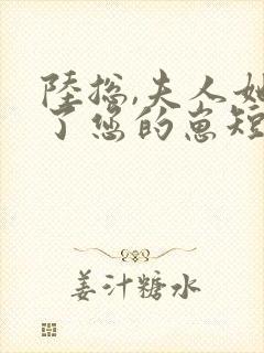 陆总,夫人她怀了您的崽短剧