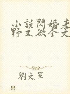 小说闪婚老公又野又欲全文