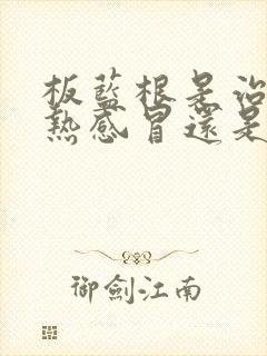 板蓝根是治疗风热感冒还是风寒感冒