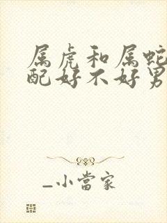 属虎和属蛇的婚配好不好男
