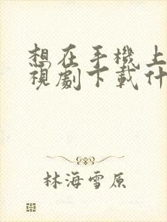 想在手机上看电视剧下载什么