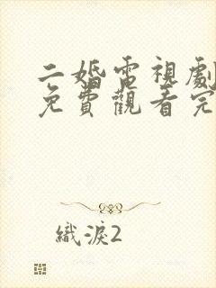 二婚电视剧全集免费观看完整版高清封面