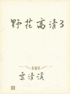 野花高清3