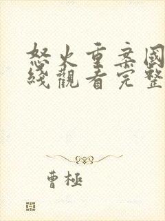 怒火重案国语在线观看完整版电影封面