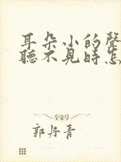 耳朵小的声音 听不见时怎么回事