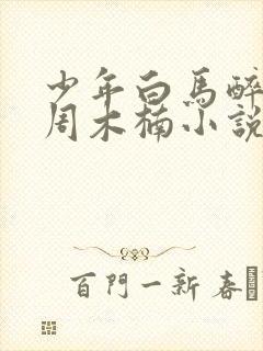 少年白马醉春风周木楠小说免费阅读 无弹窗