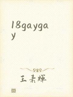18gaygay