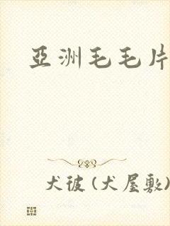 亚洲毛毛片麻豆