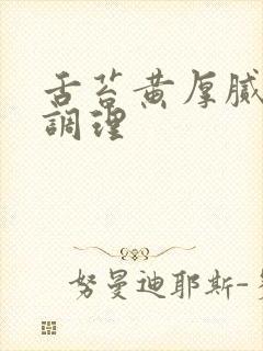 舌苔黄厚腻怎么调理