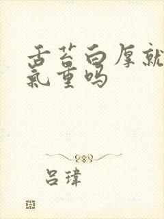 舌苔白厚就是湿气重吗