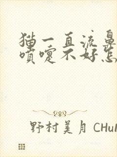 猫一直流鼻涕打喷嚏不好怎么办