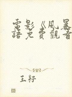 电影《风暴》国语免费观看封面