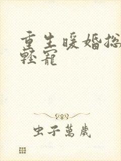 重生暖婚总裁轻轻宠