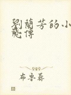 刘兰芳的小说岳飞传