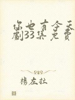 你也有今天电视剧33集免费观看封面