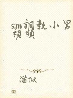 sm调教小男娘视频