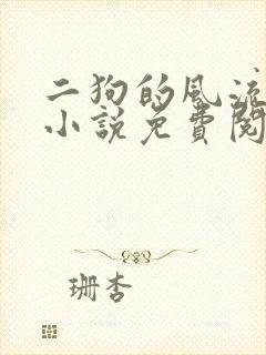 二狗的风流人生小说免费阅读