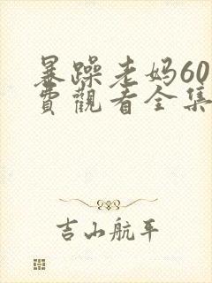 暴躁老妈60免费观看全集