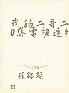 我的二哥二嫂50集电视连续剧