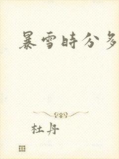 暴雪时分多少集