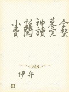 小说神墓全文免费阅读完整版辰东封面