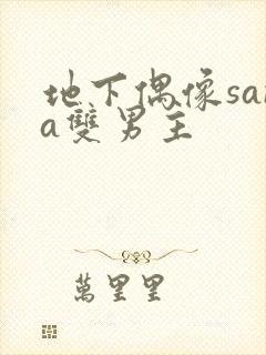 地下偶像sana双男主