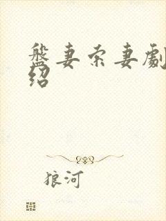 盘妻索妻剧情介绍