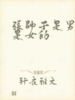 张帅子是男的还是女的