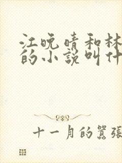 江晚晴和林书远的小说叫什么名字封面