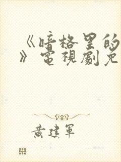 《暗格里的秘密》电视剧免费