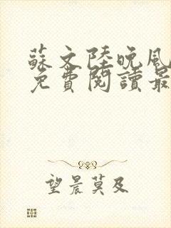 苏文陆晚风小说免费阅读最新章节