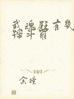 武魂殿有几个封号斗罗