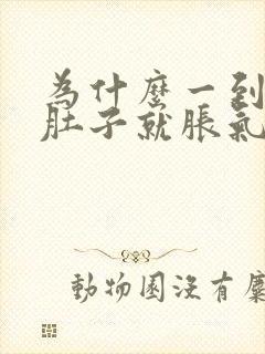 为什么一到下午肚子就胀气放屁