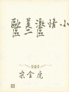 欧美激情小说一区二区