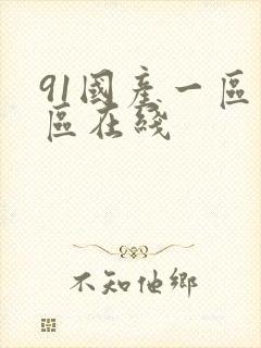 91国产一区二区在线