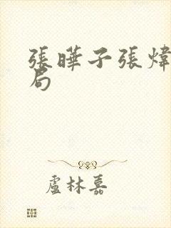 张晔子张炜迅结局