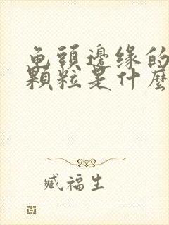 龟头边缘的白色颗粒是什么