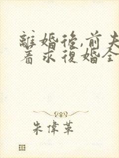 离婚后,前夫哭着求复婚全本小说下载