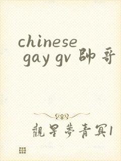 chinese gay gv 帅哥