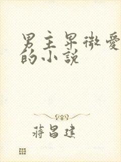 男主卑微爱女主的小说