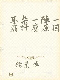 耳朵一阵一阵的痛什么原因封面