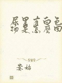 尿里有白色沉淀物是怎么回事